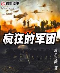 疯狂的军团TXT奇书网