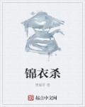 锦衣杀讲的什么故事