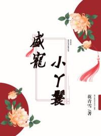 盛宠丫鬟云舒