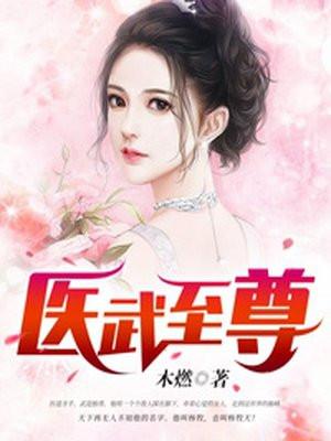 医武至尊 木燃