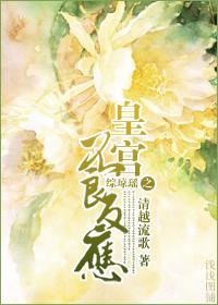 综琼瑶皇阿哥txt